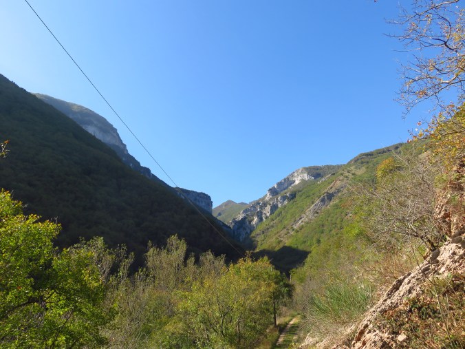 Trail Beginning