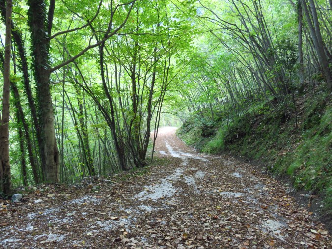 Monte Cucco Road